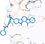 fascaplysin, фаскаплизин, cdk4, циклин зависимая киназа