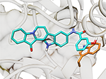 donepezil,acetylcholinesterase