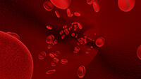 эритроциты, red blood cells