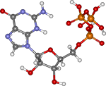 гуанозинтрифосфат, синтез белка картинки