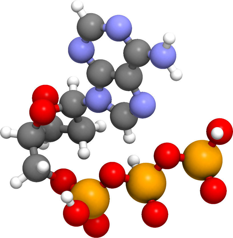 Рисунок молекулы атф