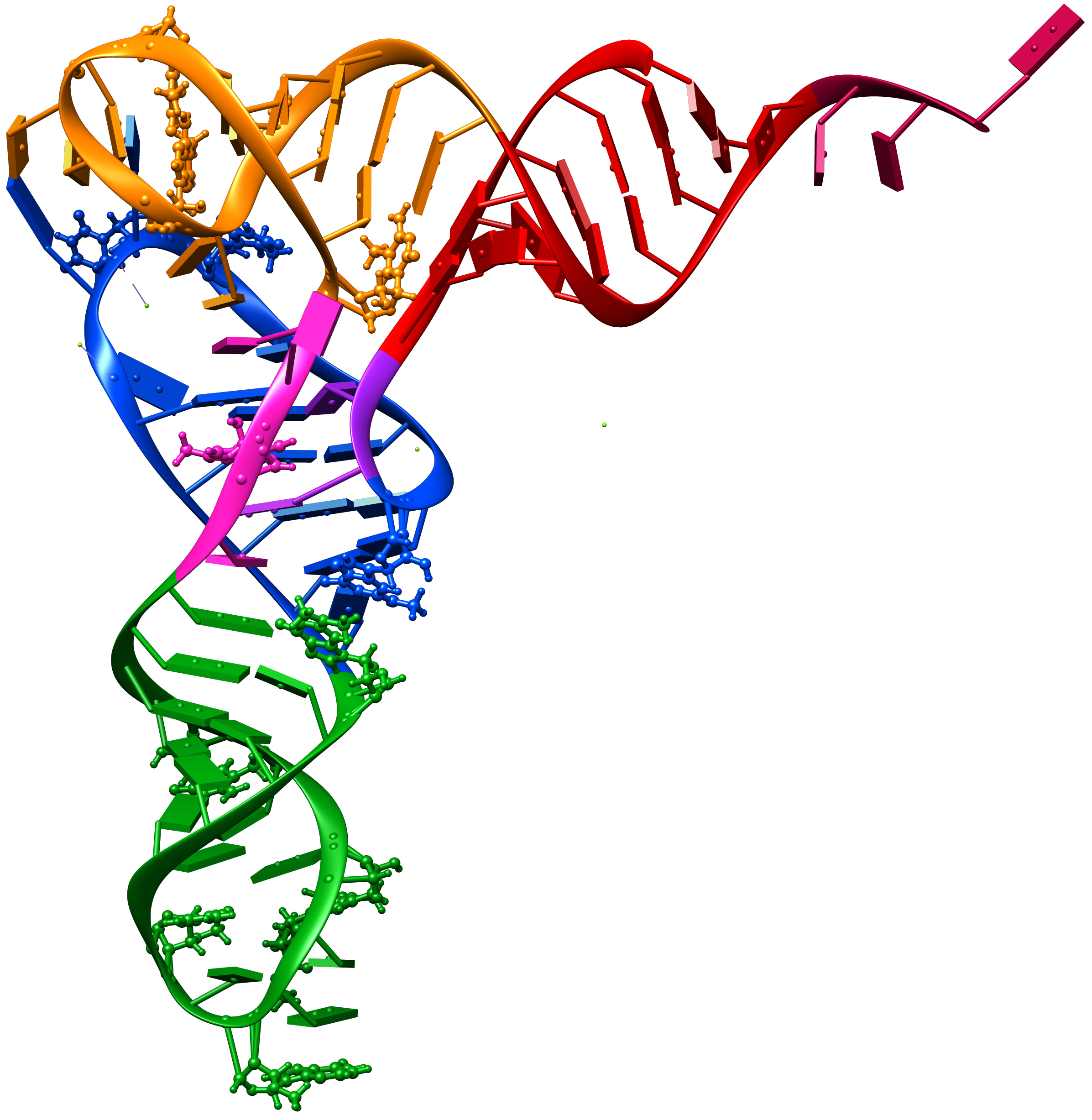 РНК одноцепочечная молекула. Рибонуклеиновая (РНК) И. Биосинтез рибонуклеиновые кислоты. Нуклеиновые кислоты м РНК. Рисунок молекулы рнк